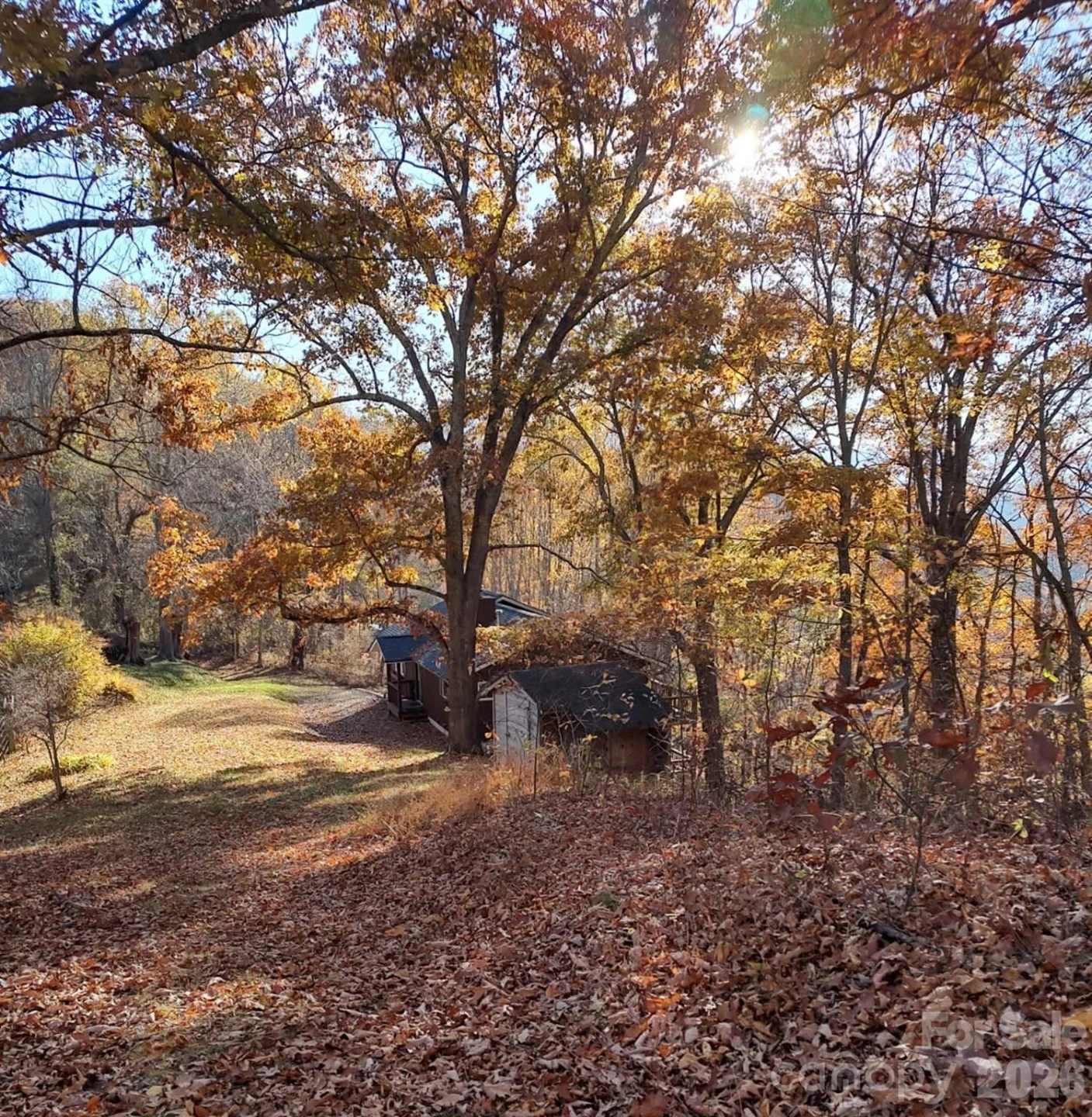 415 Treetop Lane - Photo 37