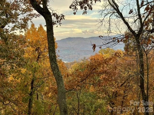 415 Treetop Lane - Photo 39