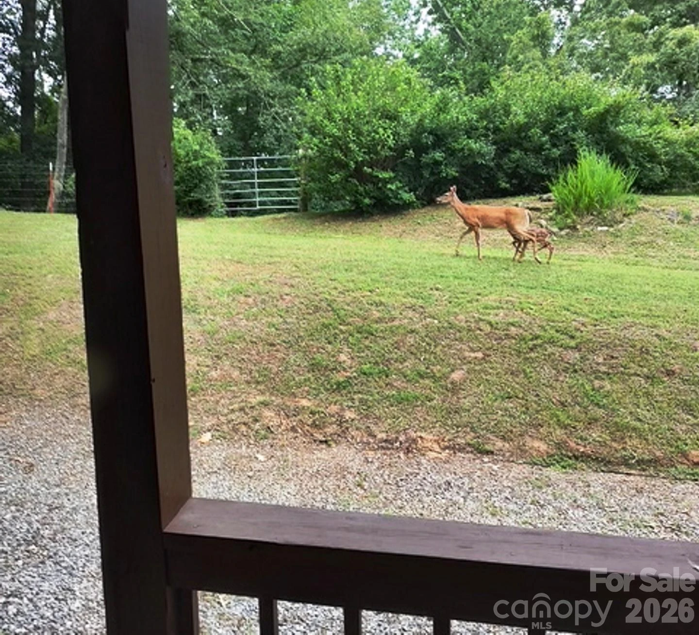 415 Treetop Lane - Photo 44