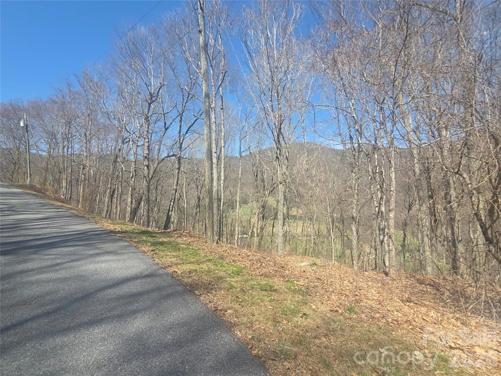 820 Chestnut Flats Lane #4
