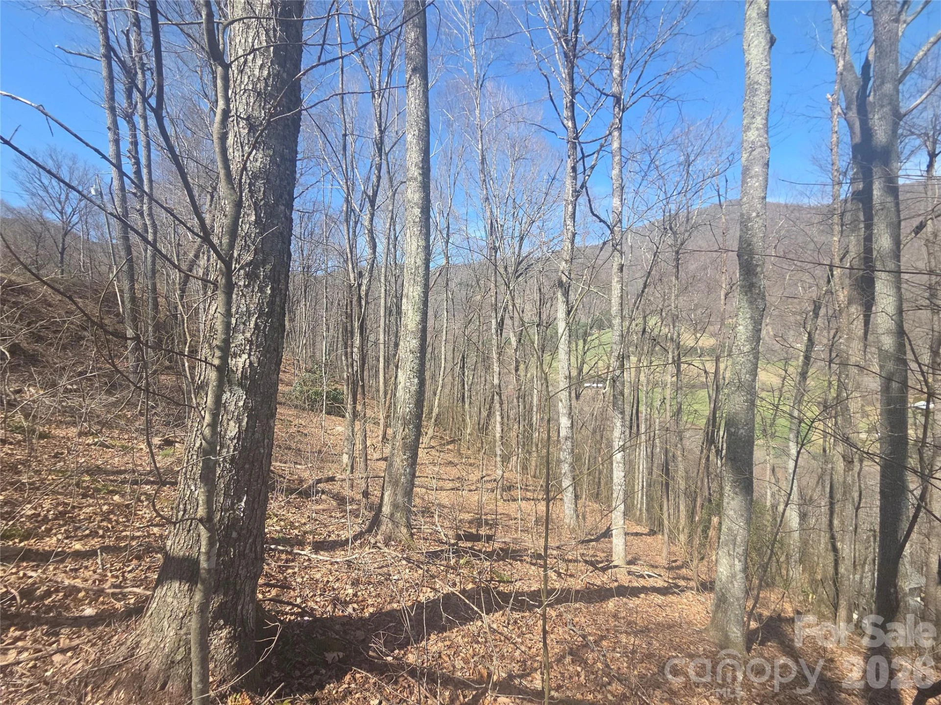 820 Chestnut Flats Lane #4 - Photo 18