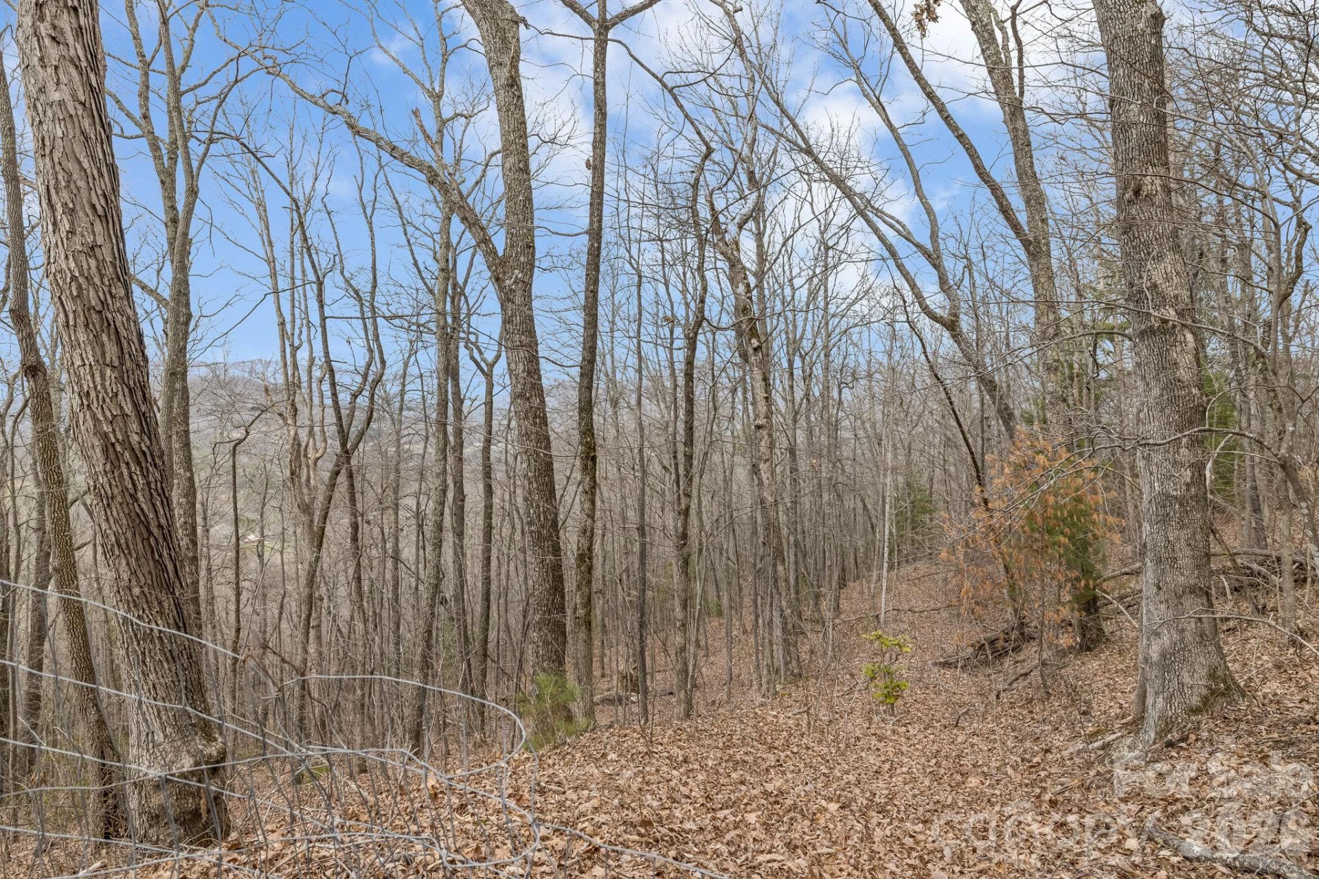 99999 Oak Ridge Road - Photo 12