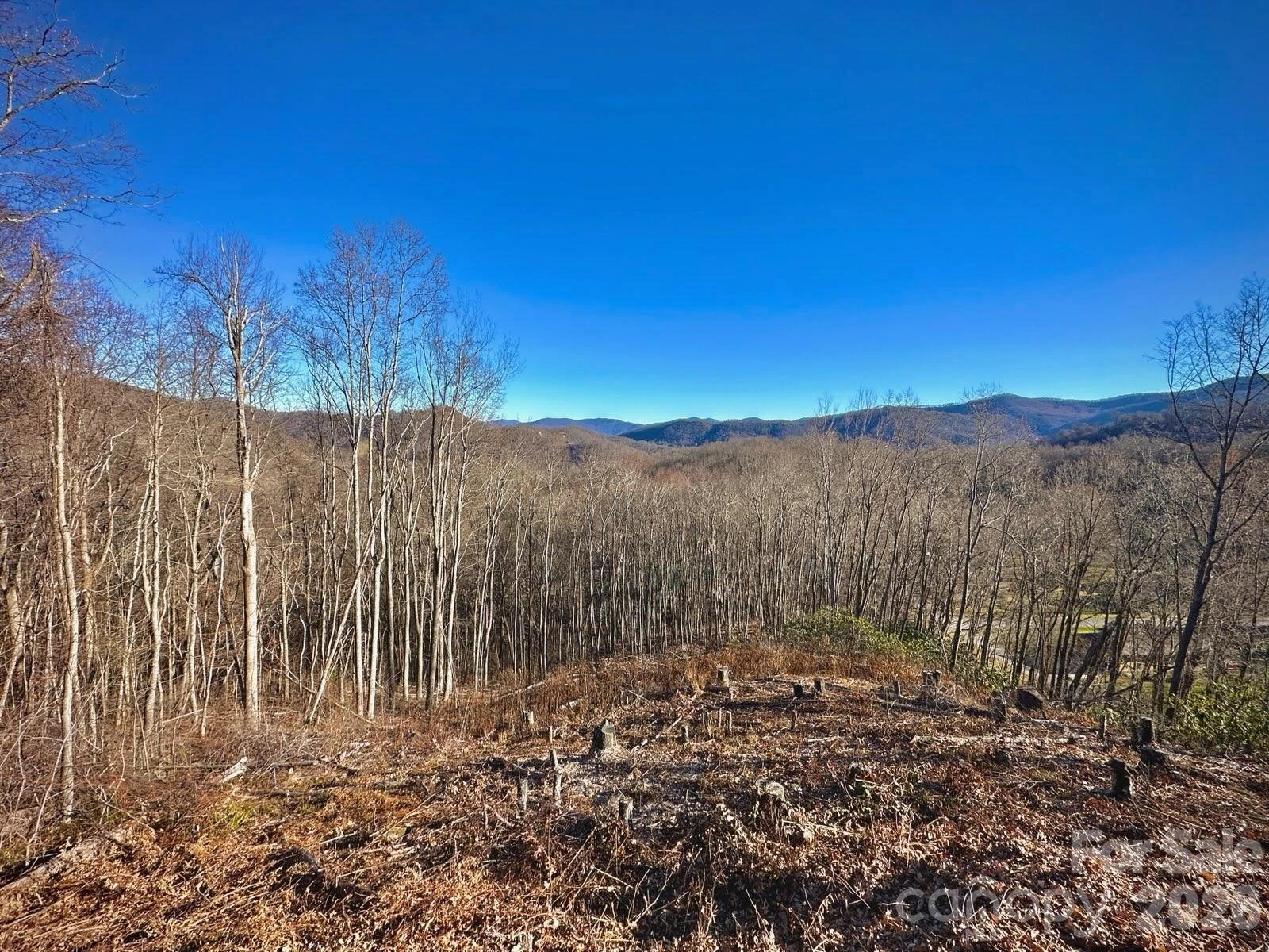 3 Mountain Watch Drive - Photo 3