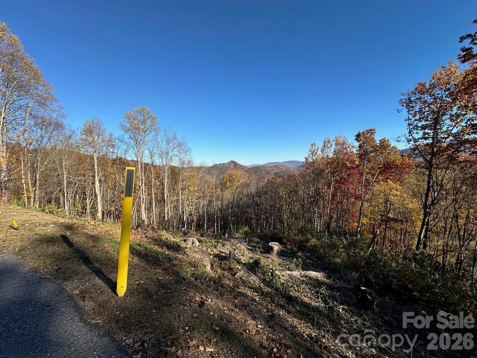 3 Mountain Watch Drive - Photo 6