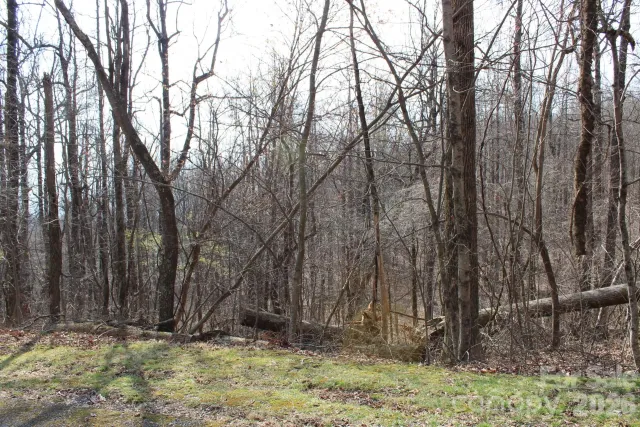 Lot 20 Sunset Ridge Drive, Columbus, NC, 28722