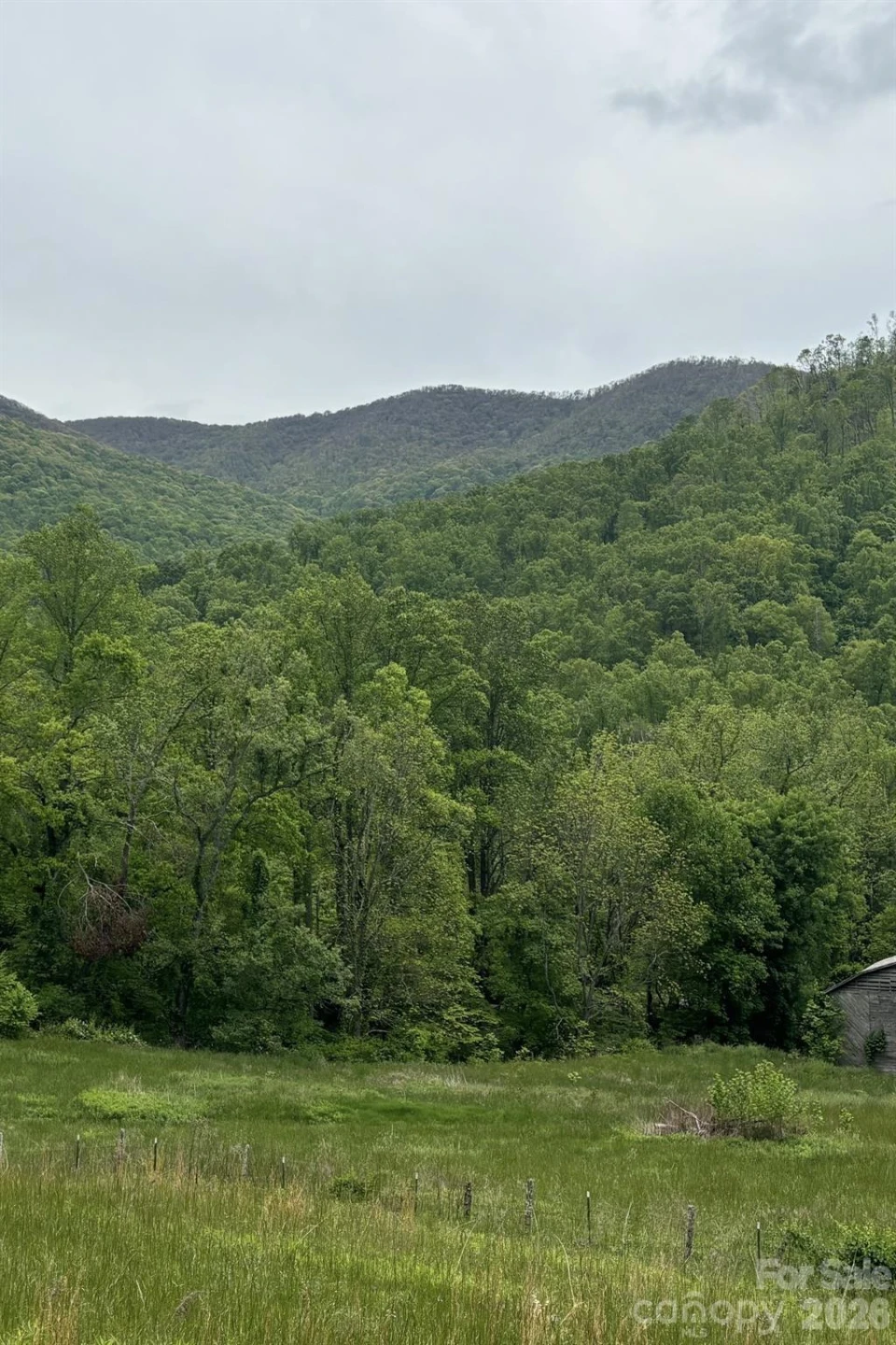 000 Cook Cove Road #2 - Photo 10