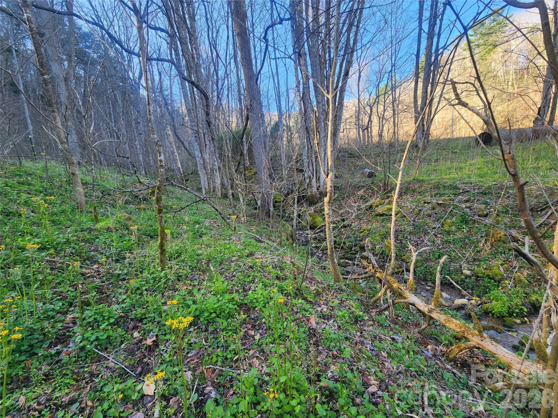 1025 Chandler Cove Road - Photo 40