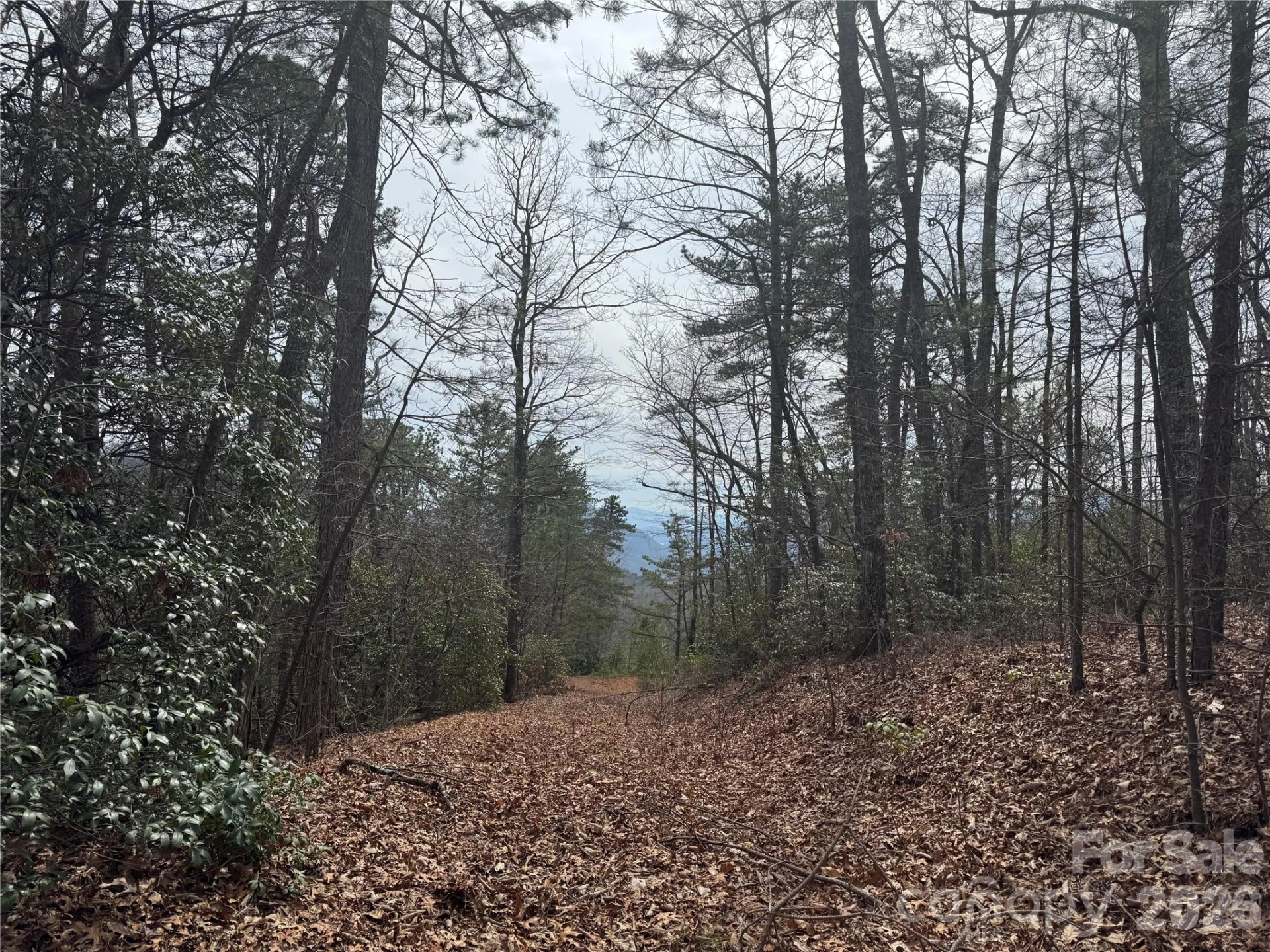 850 Harmonys Edge Drive #850 - Photo 2