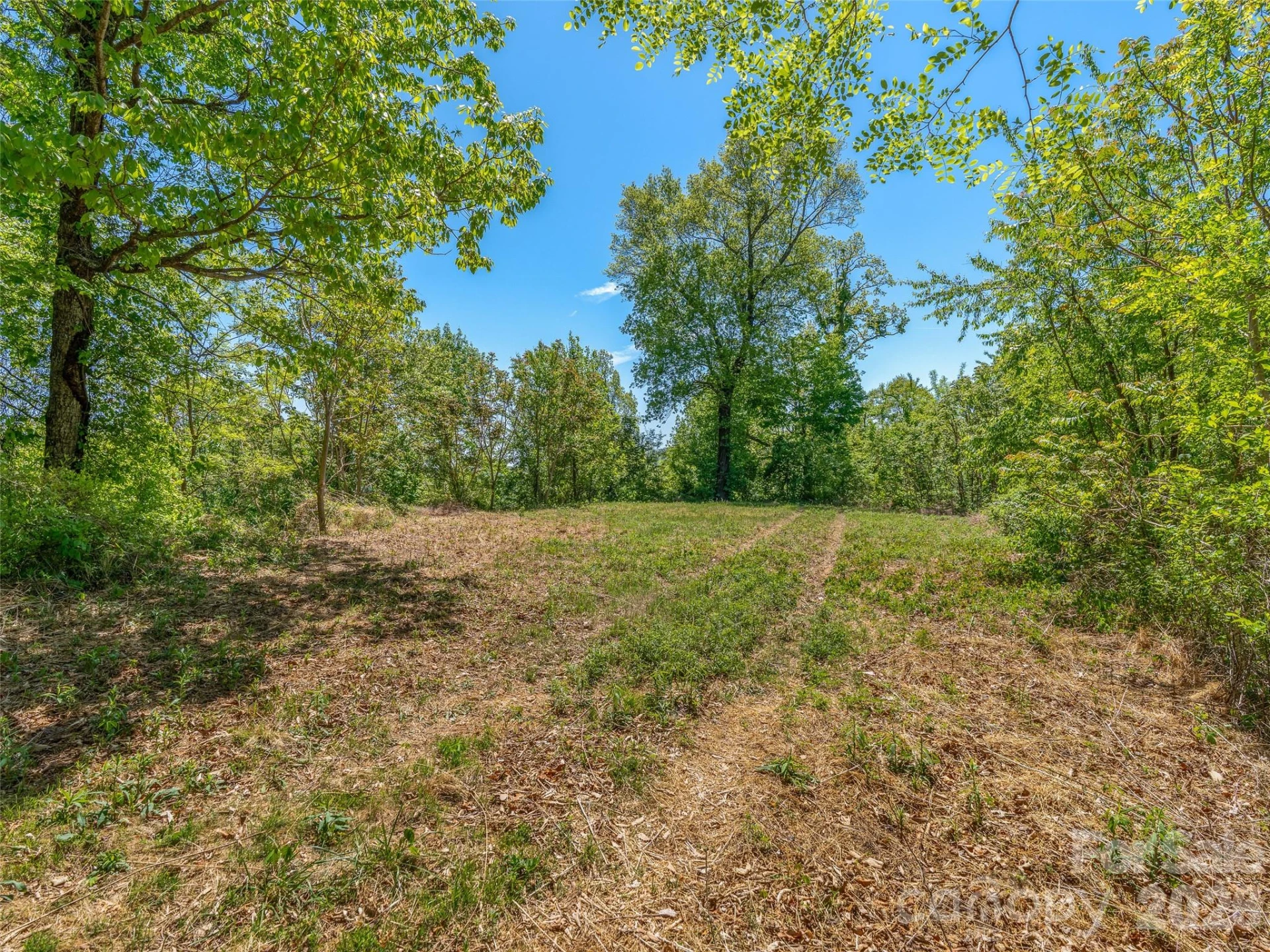 488 Warbler Lane - Photo 14
