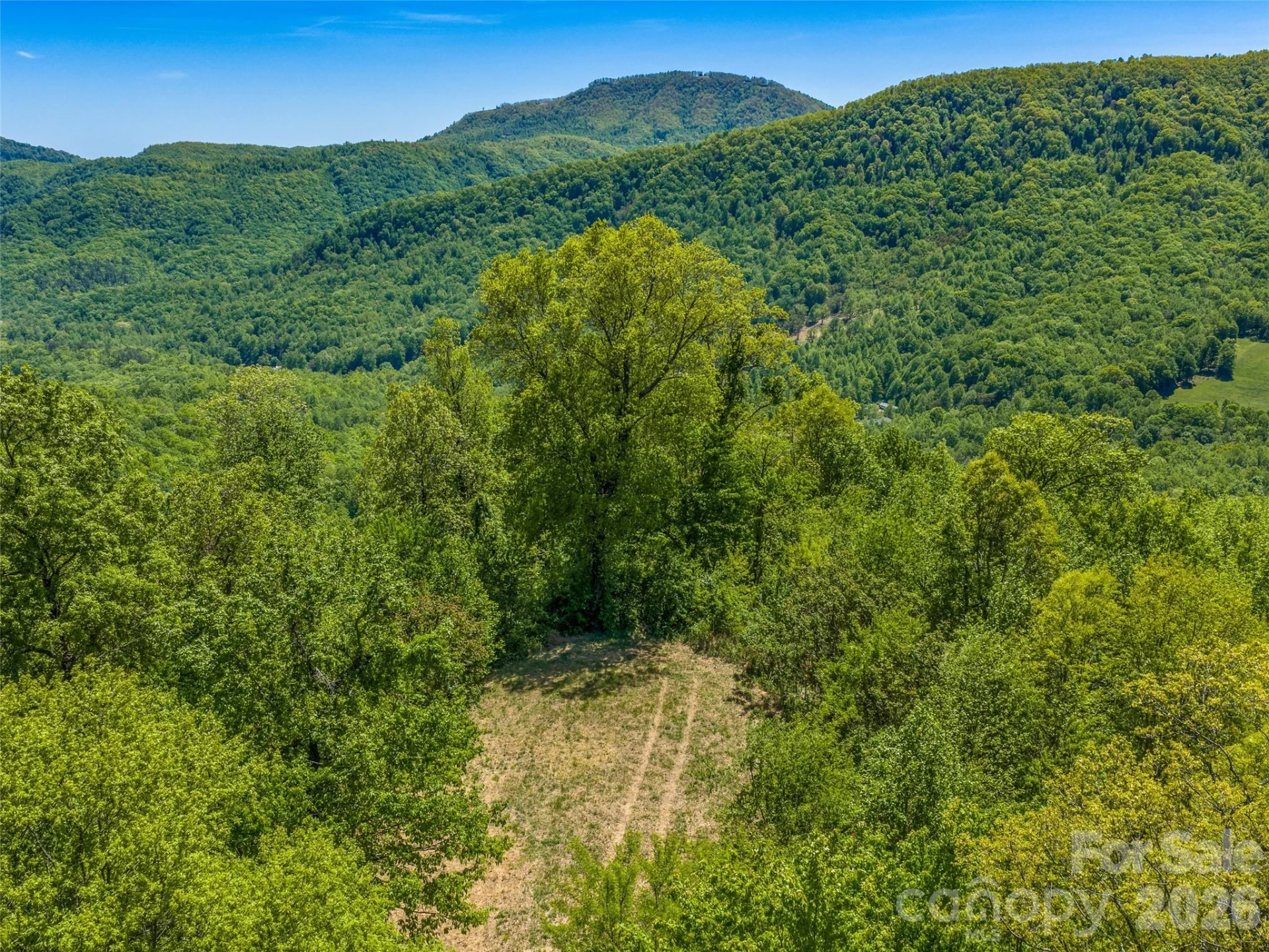 488 Warbler Lane - Photo 4