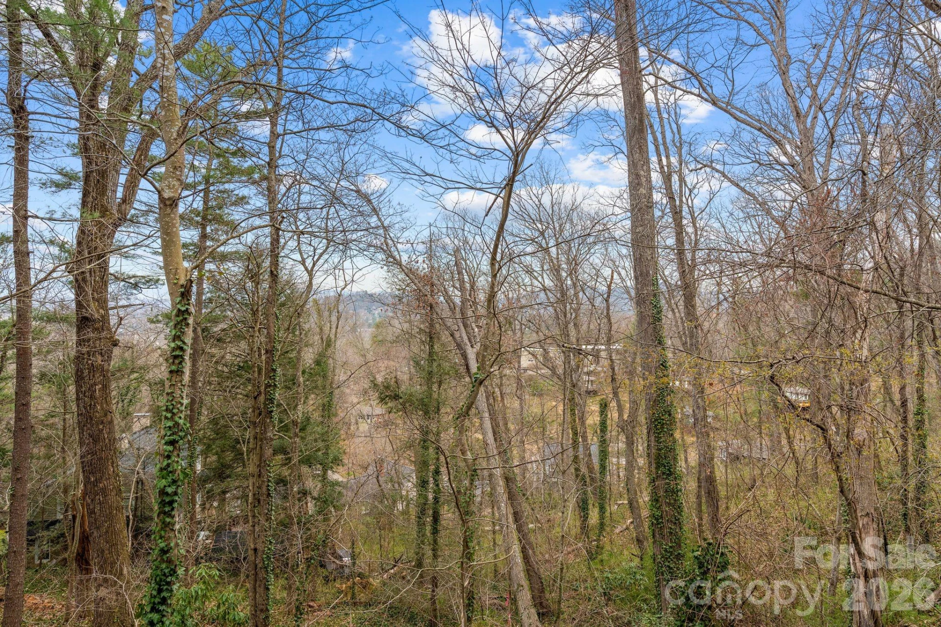 355 Sunset Drive - Photo 32