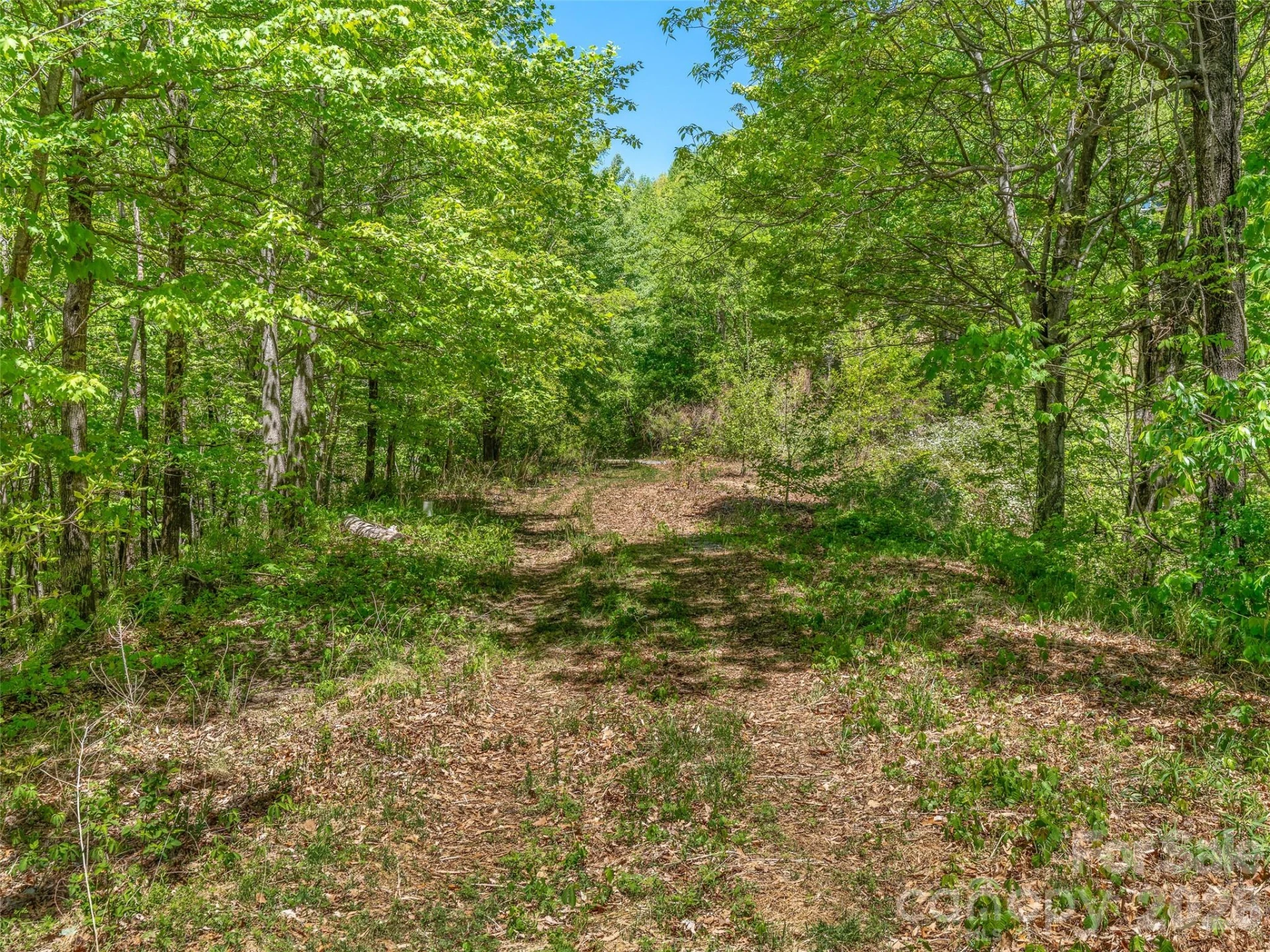 488 Warbler Lane #H-13 - Photo 6