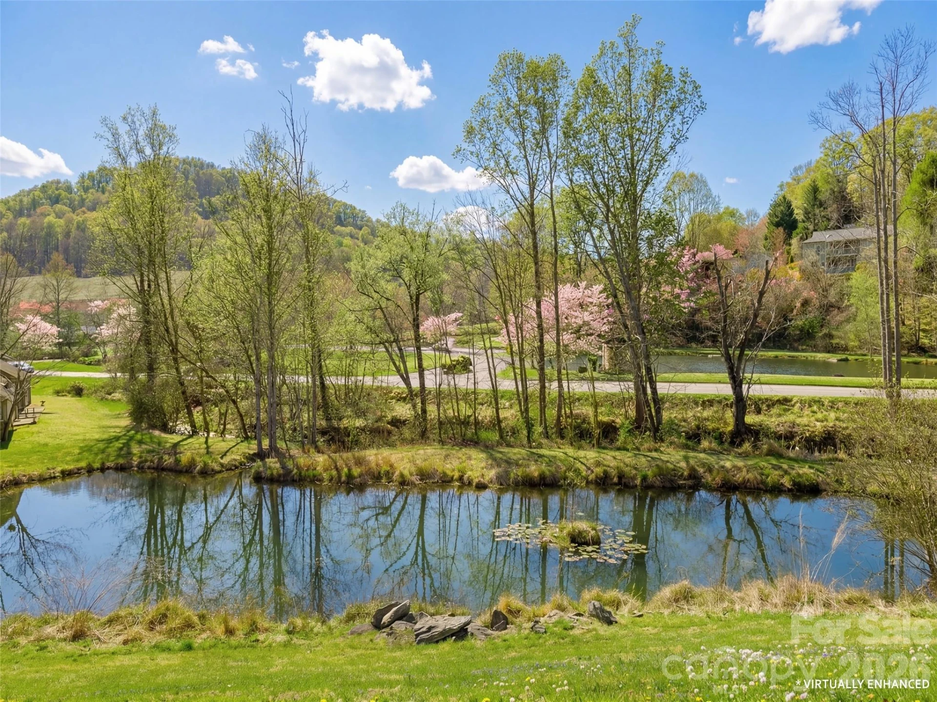 203 Rocky Mountain Way - Photo 5
