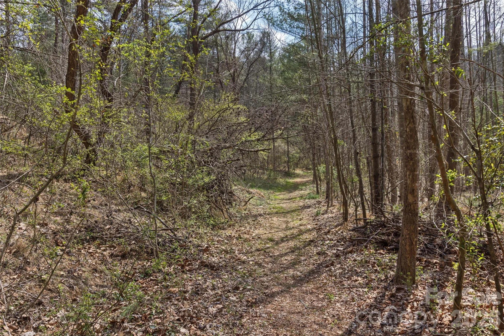 37 Creekside View Drive - Photo 42