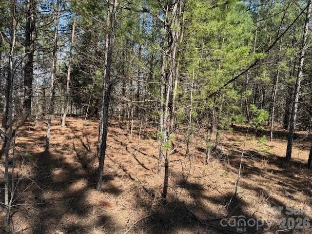 00 Hope Drive - Photo 8