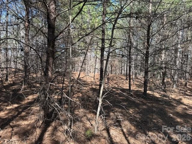 00 Hope Drive - Photo 10