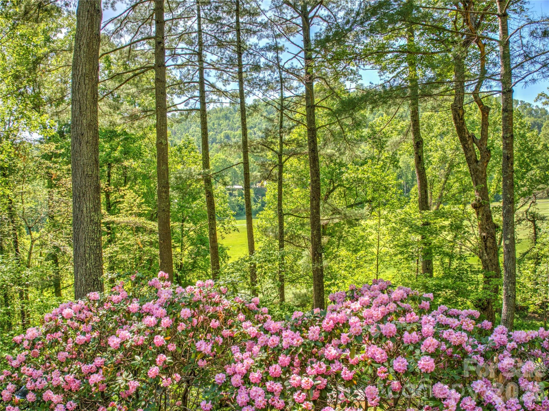 200 Robinhood Road - Photo 4