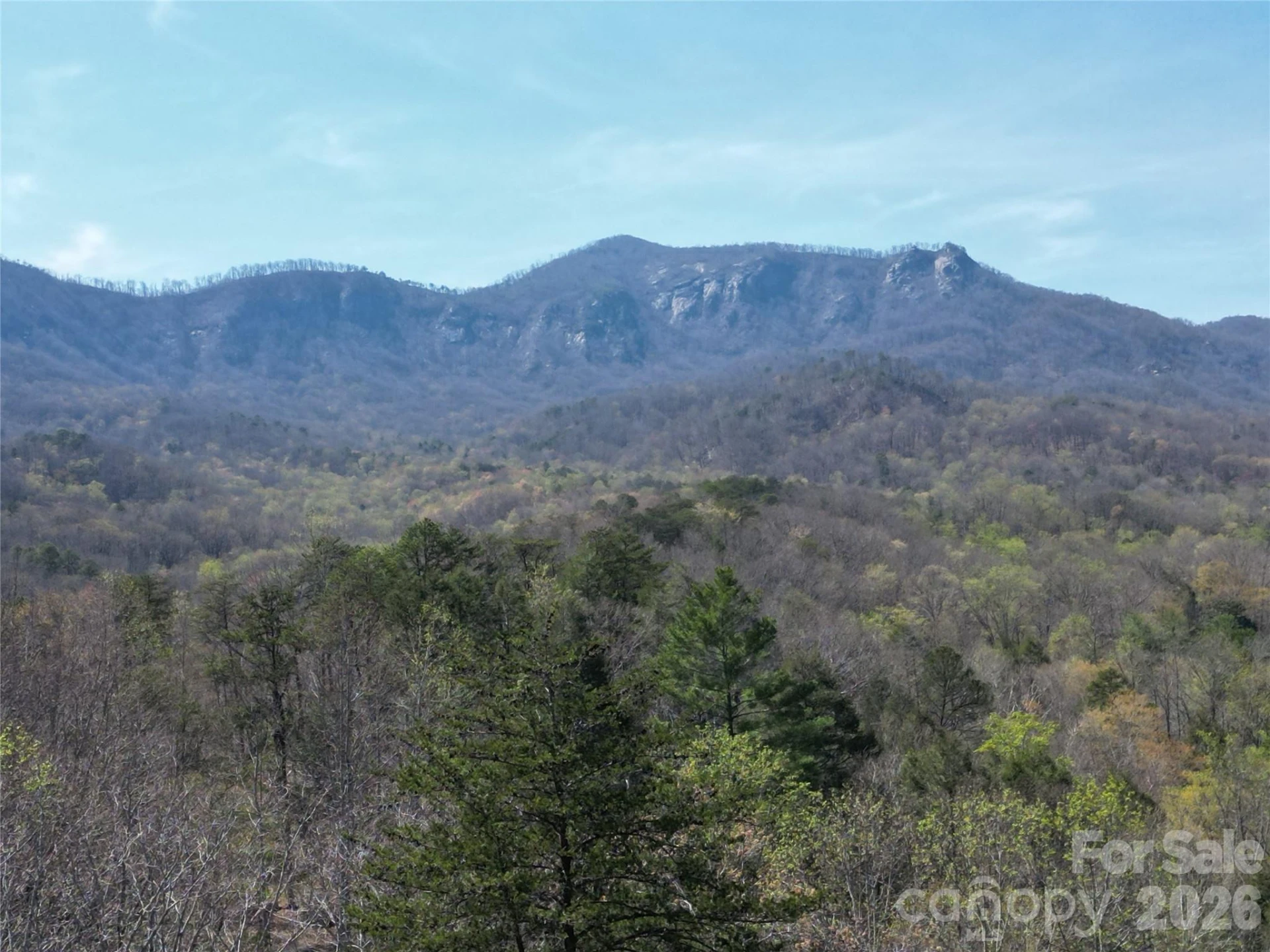 145 White Pine Drive - Photo 4