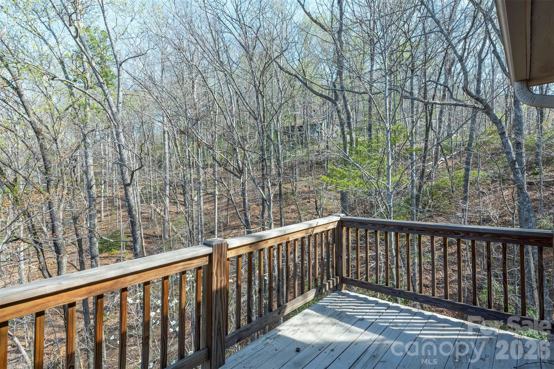 145 White Pine Drive - Photo 28