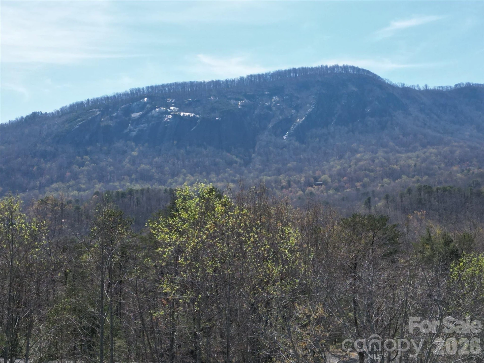 145 White Pine Drive - Photo 36