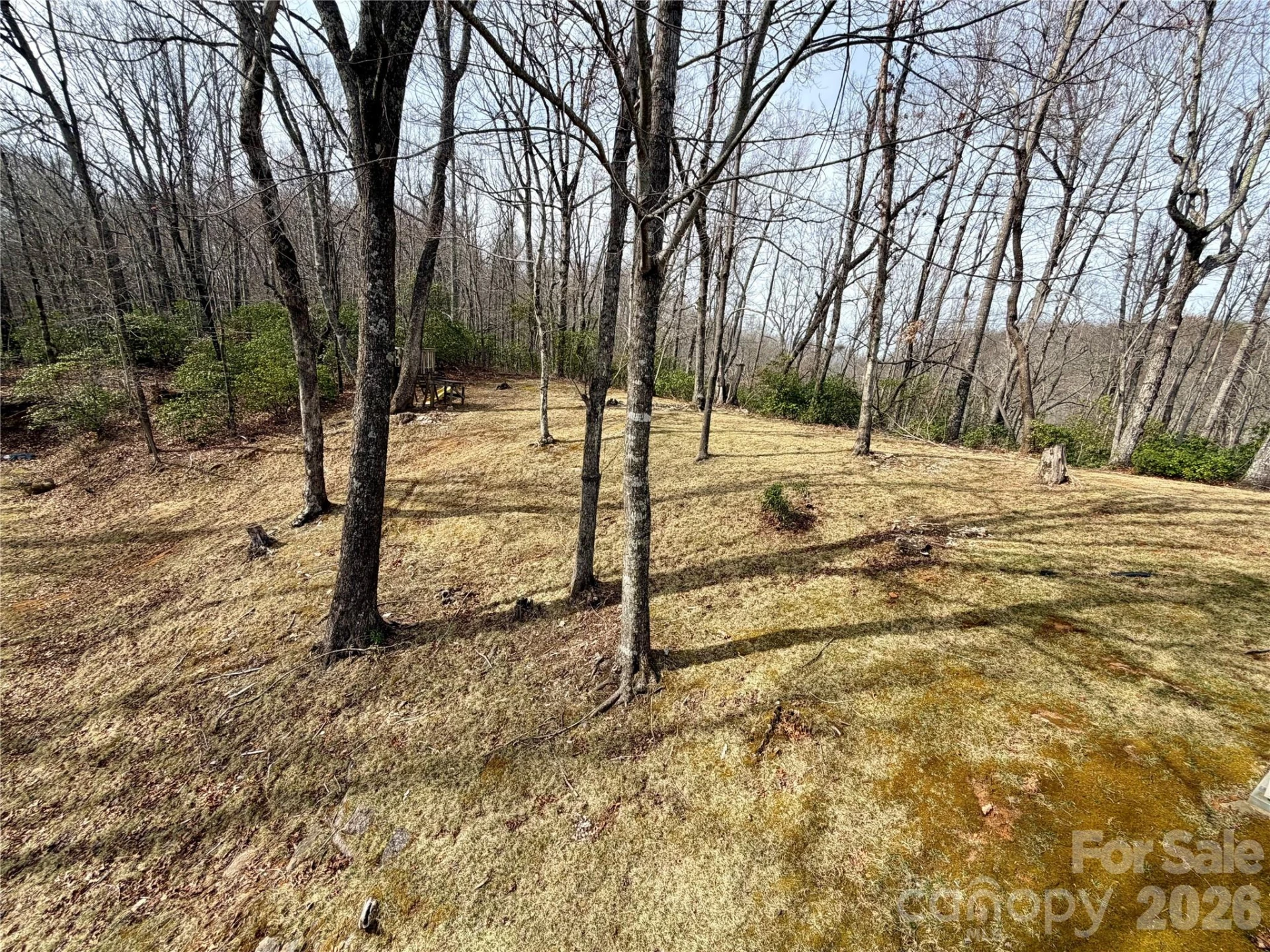 288 Willow Lane - Photo 5