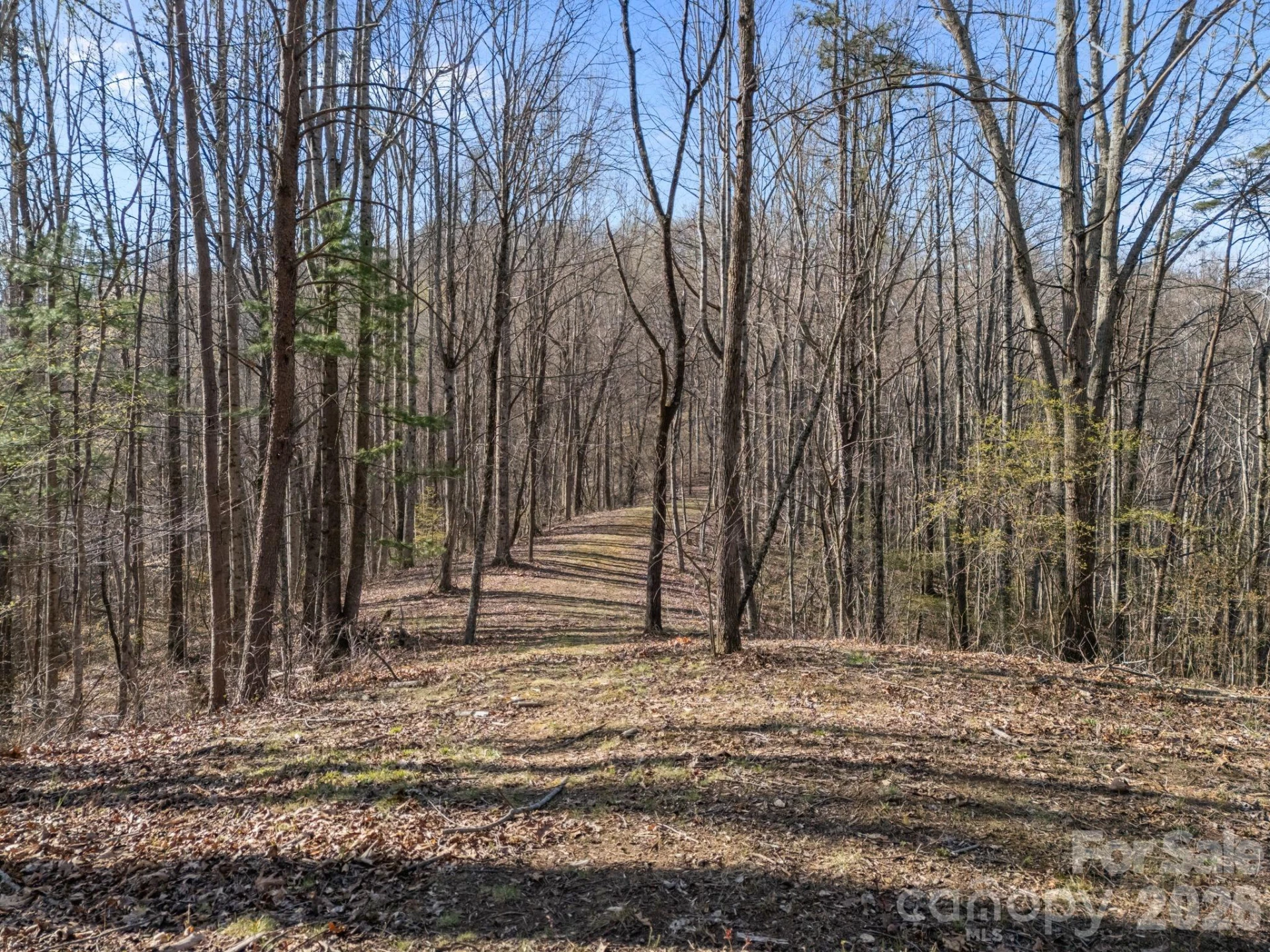9999 Hidden Cove Road