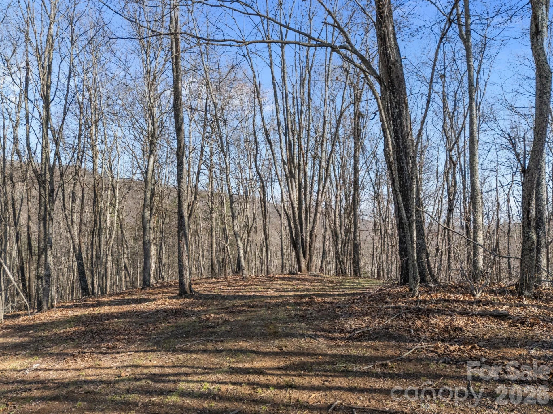 9999 Hidden Cove Road - Photo 5