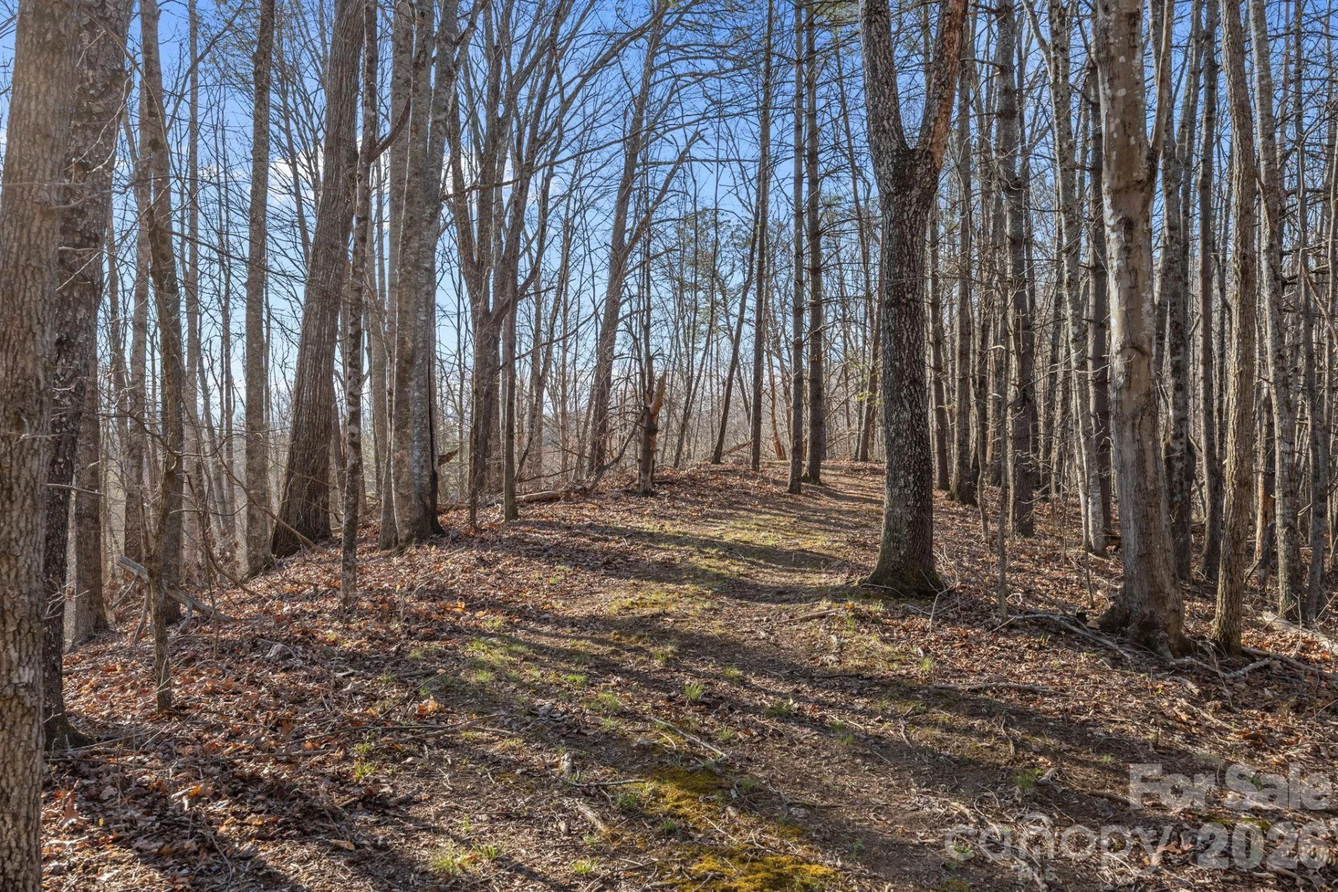 9999 Hidden Cove Road - Photo 6
