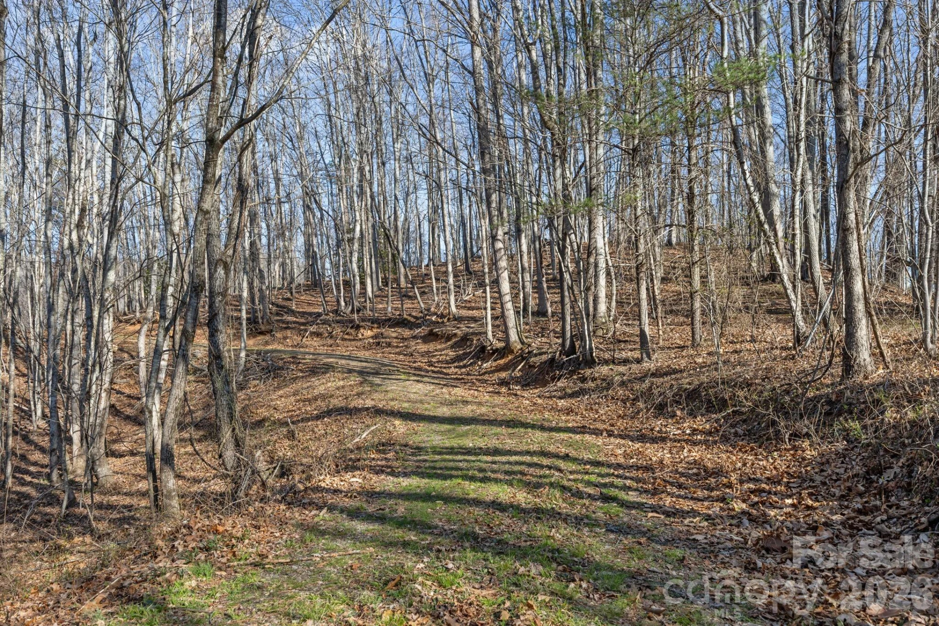 9999 Hidden Cove Road - Photo 7