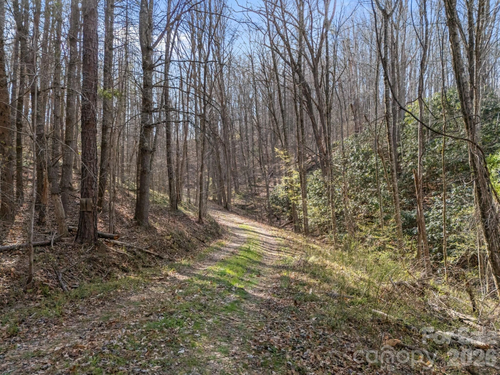 9999 Hidden Cove Road - Photo 8