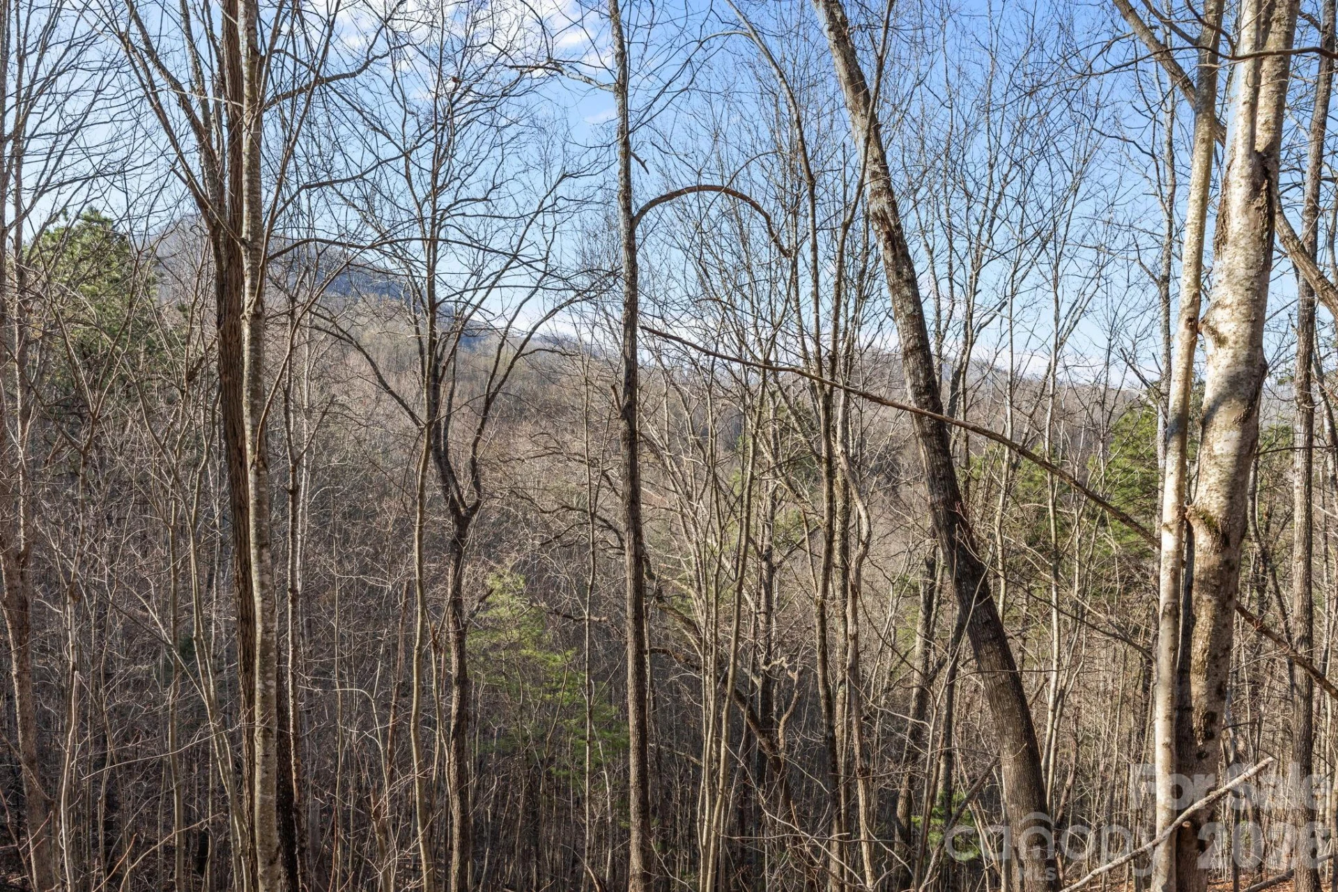 9999 Hidden Cove Road - Photo 9