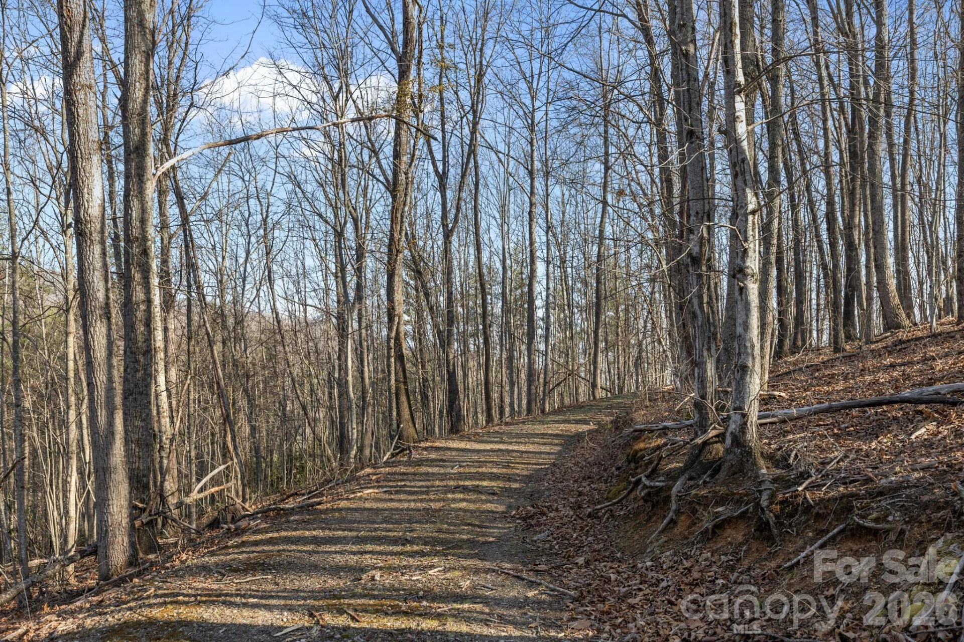 9999 Hidden Cove Road - Photo 10