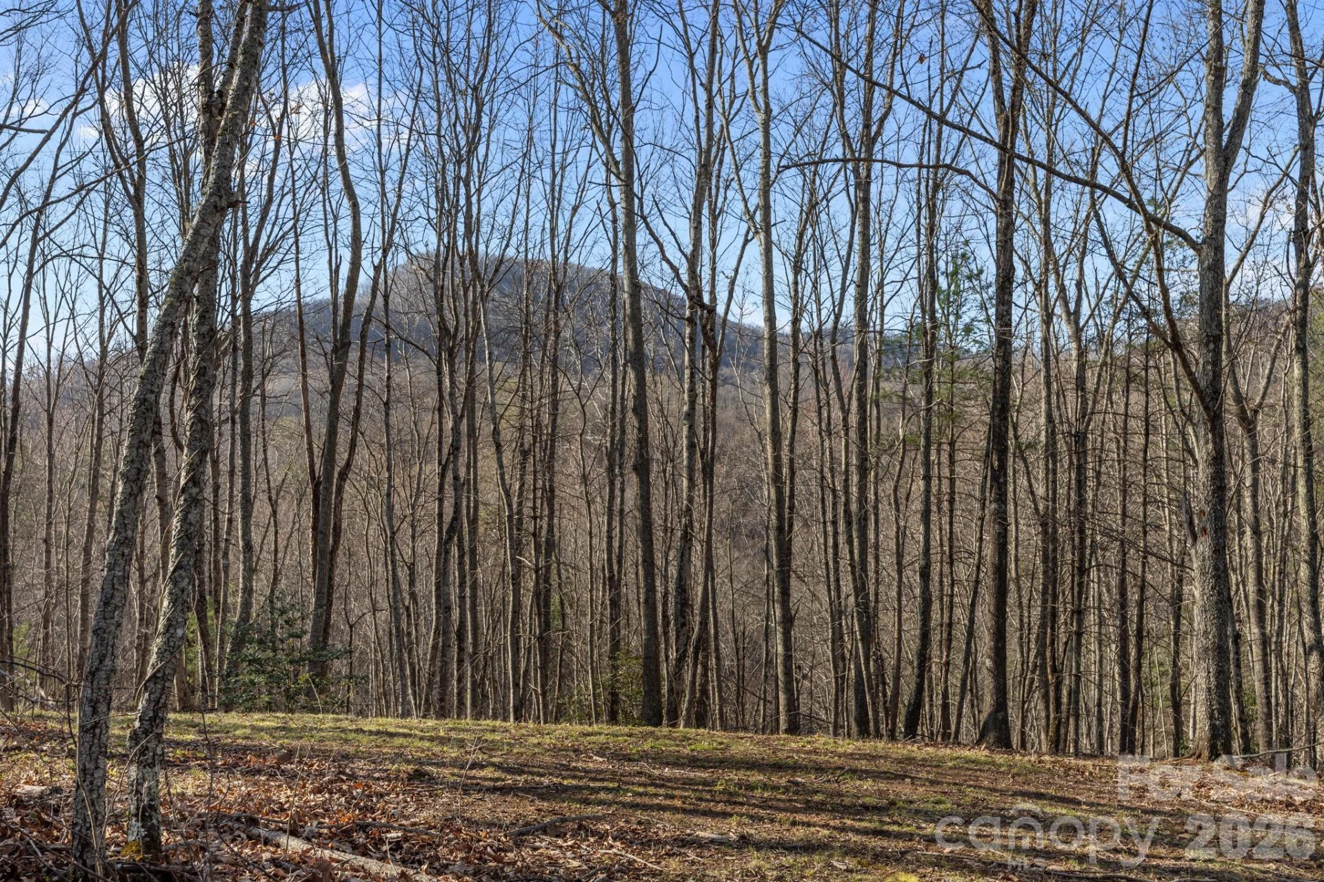 9999 Hidden Cove Road - Photo 11