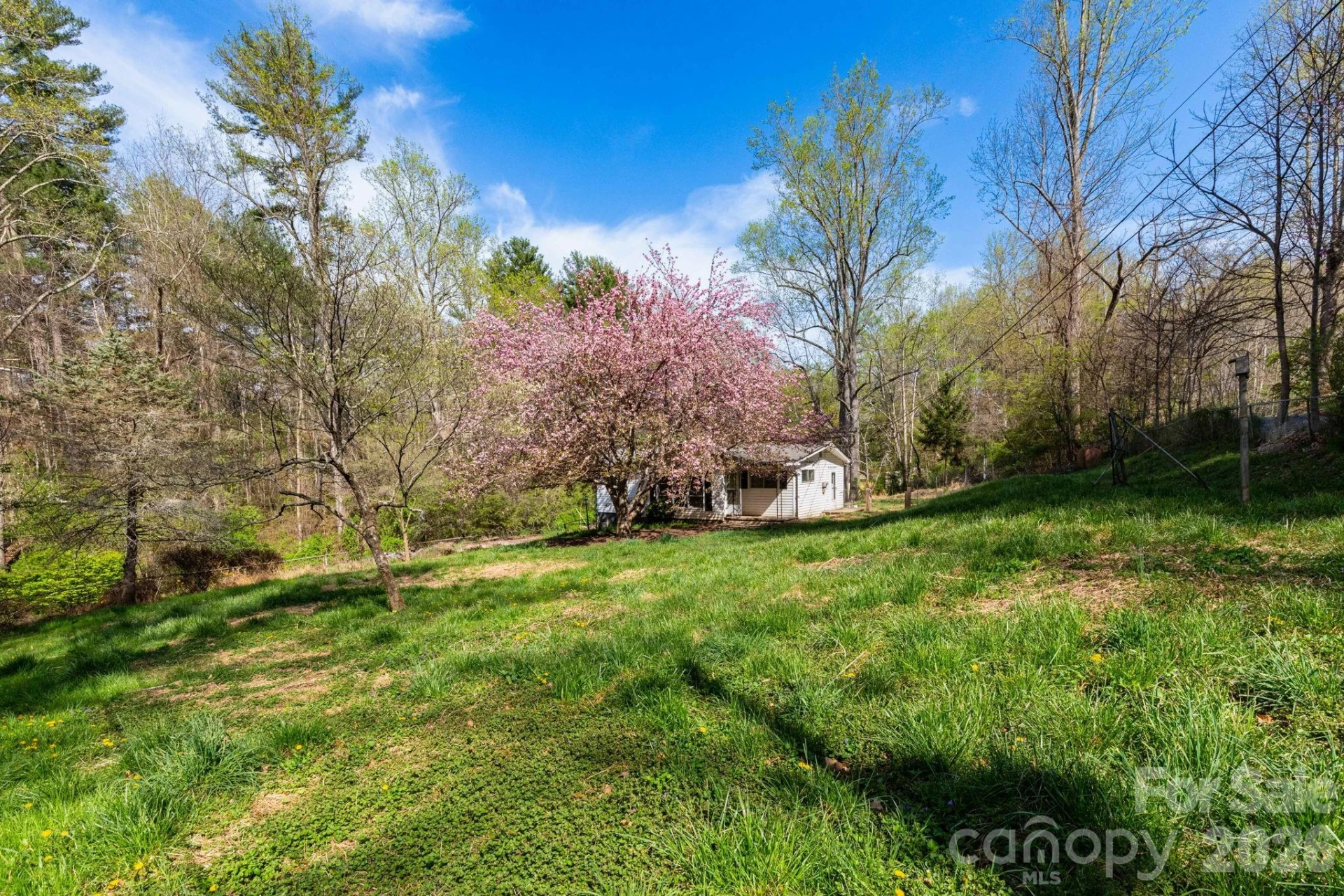135 Sardis Drive - Photo 16
