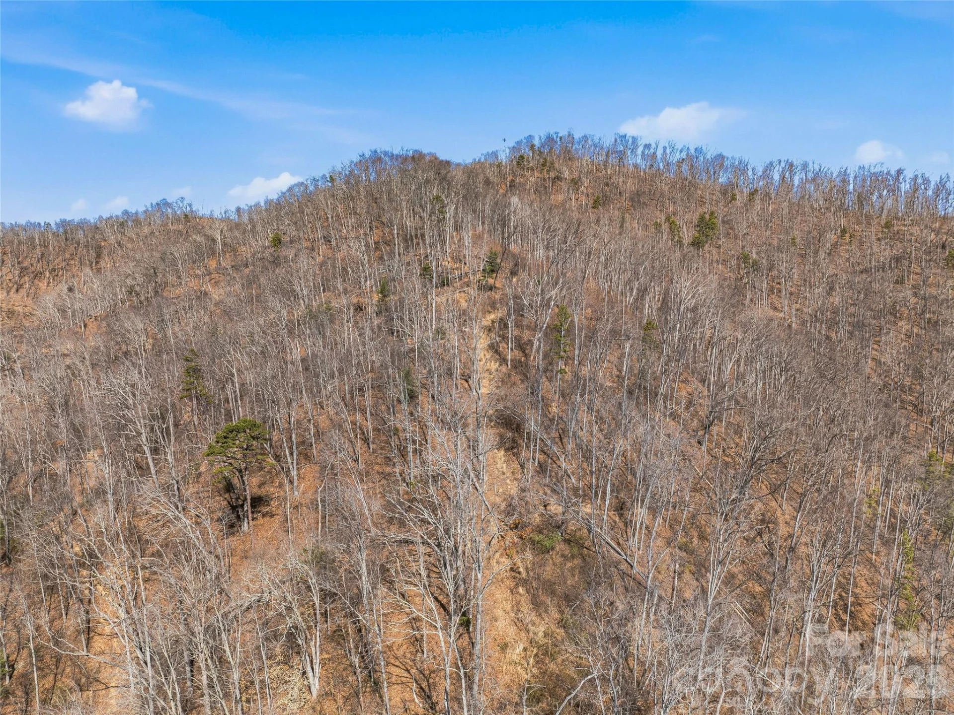 182 Whittemore Branch Road - Photo 44