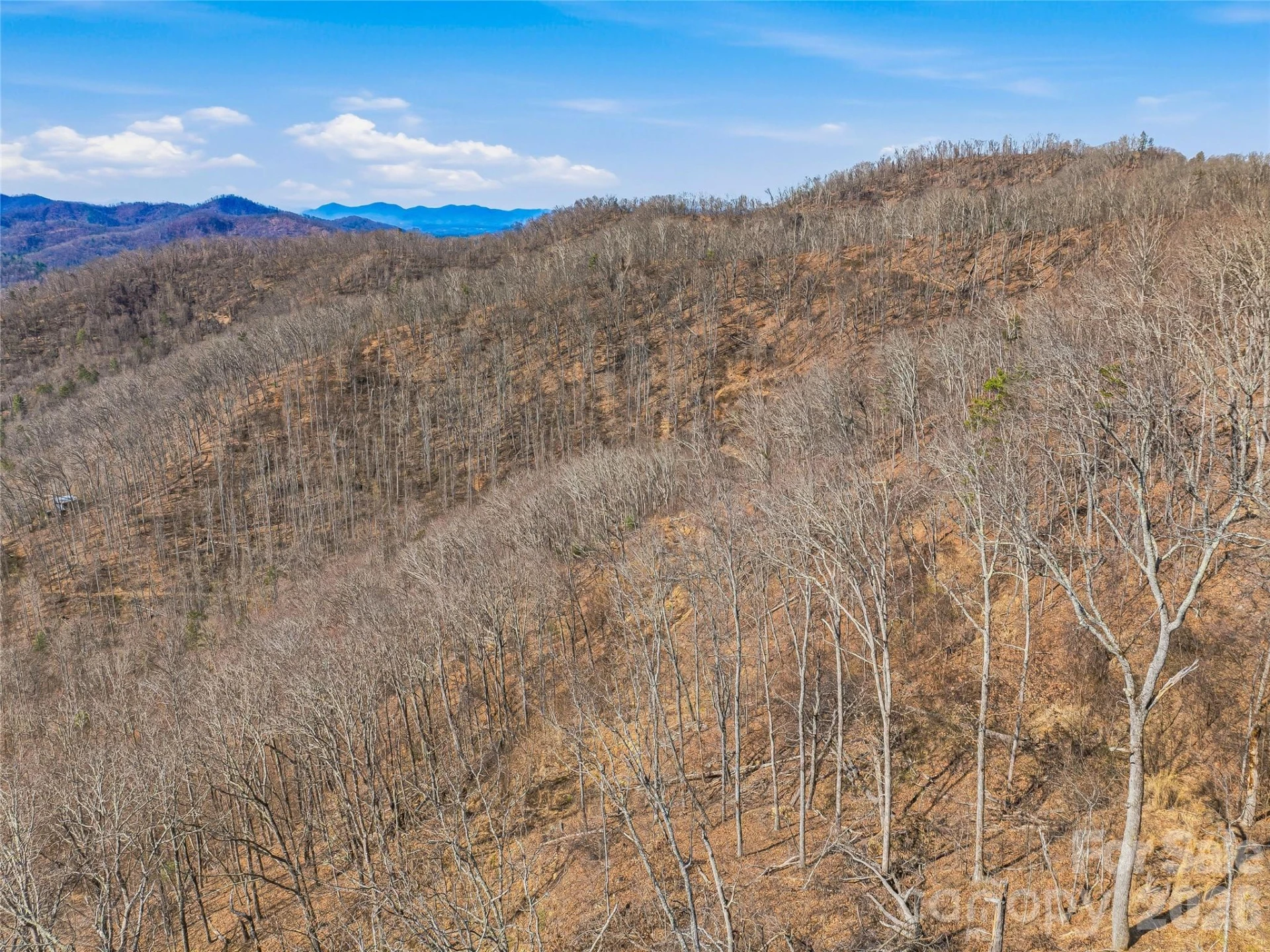 182 Whittemore Branch Road - Photo 46