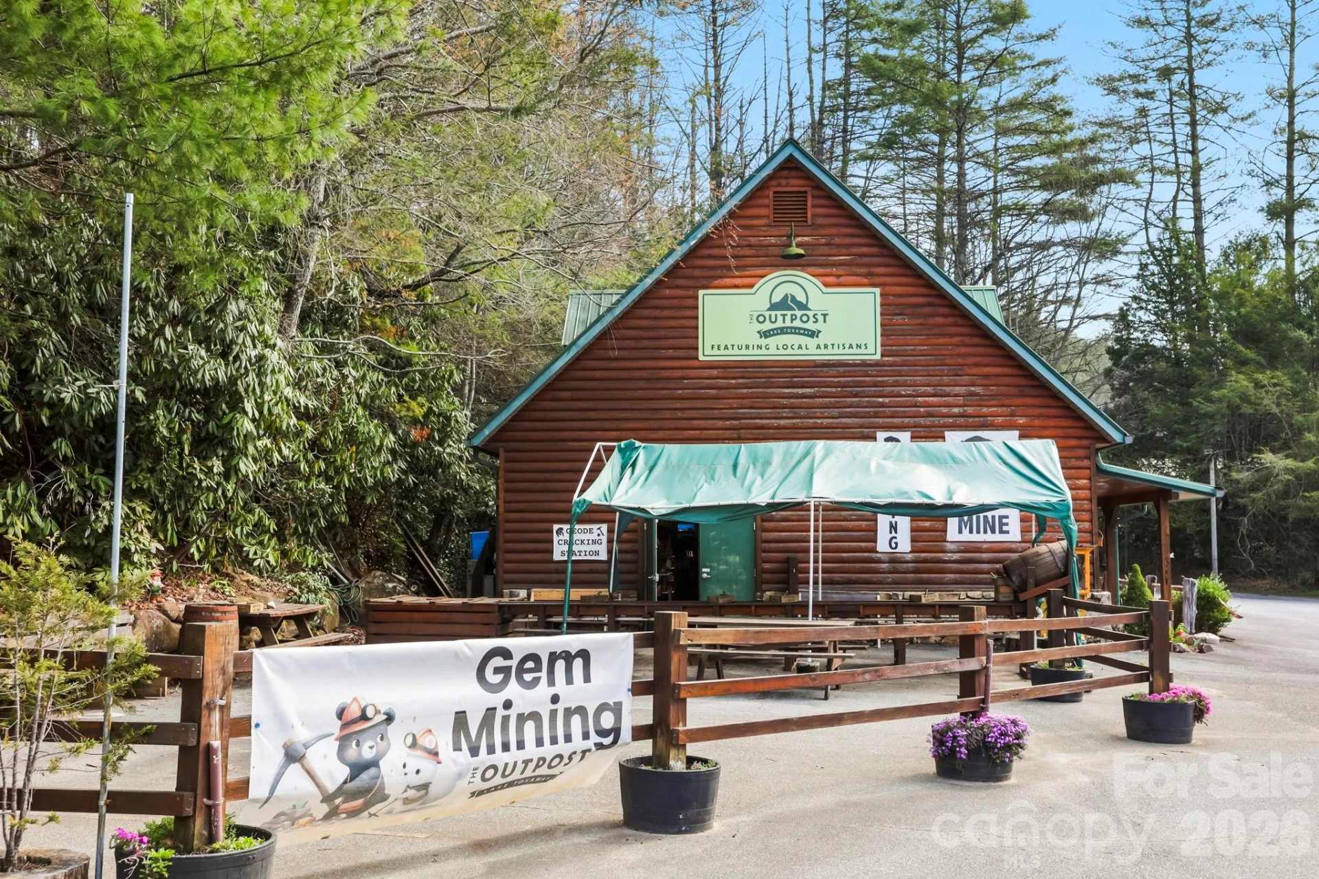 10932 Rosman Highway - Photo 5
