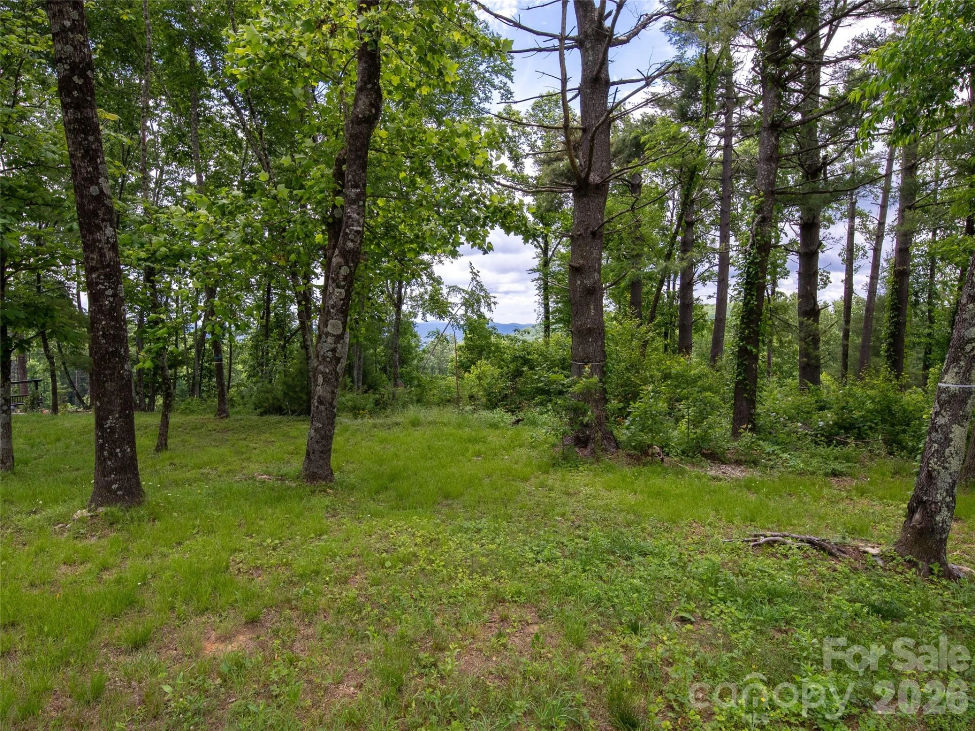 189 Dancing Bear Drive - Photo 11