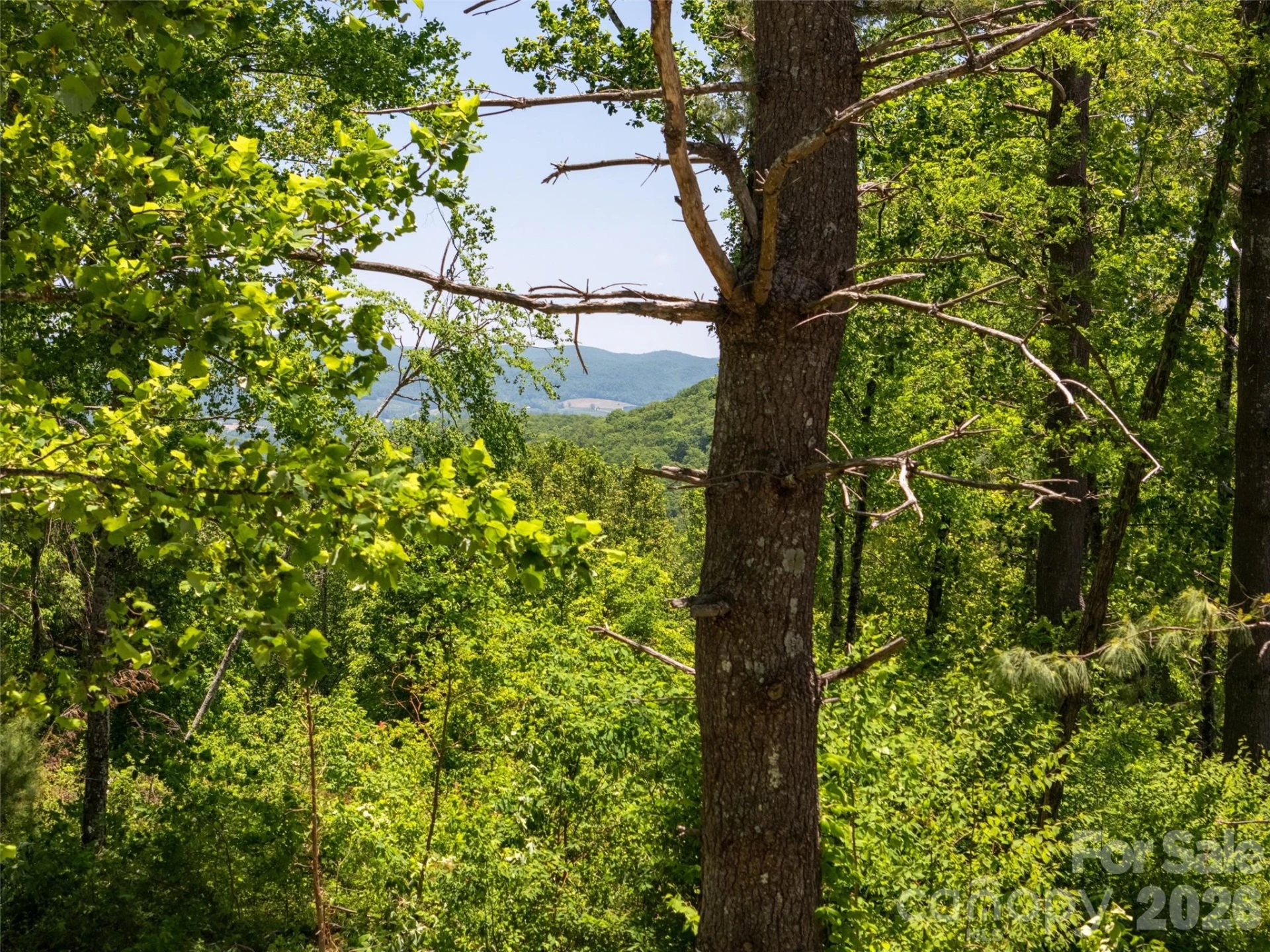189 Dancing Bear Drive - Photo 4