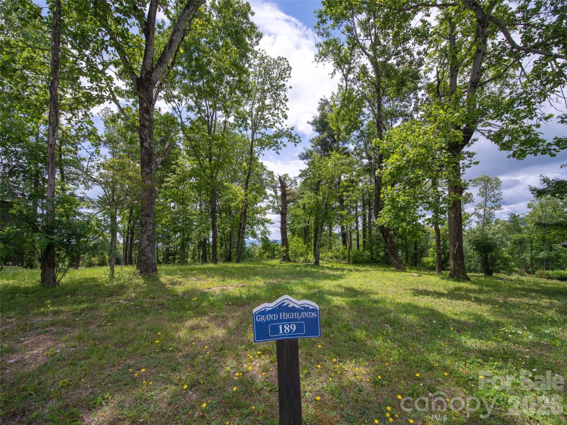 189 Dancing Bear Drive - Photo 8