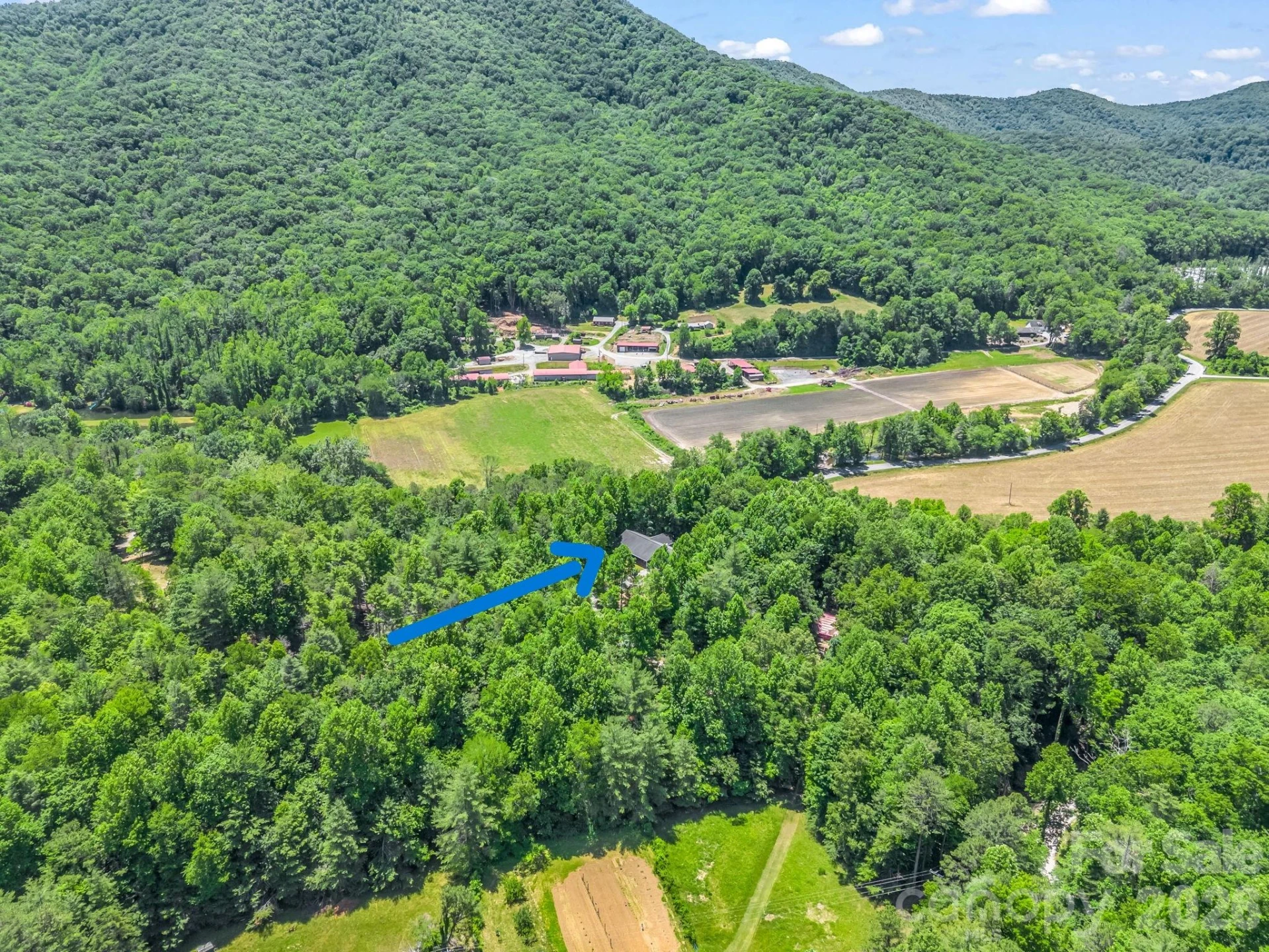 144 Old Homeplace Lane - Photo 40