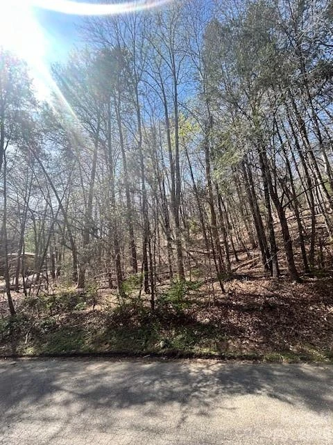 Lot 51 Fairway Drive
