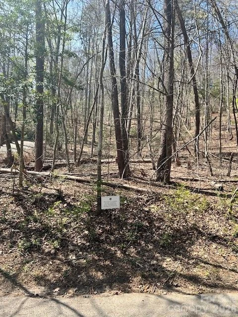 Lot 51 Fairway Drive - Photo 2