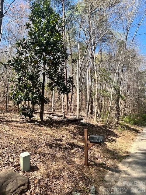 Lot 51 Fairway Drive - Photo 3