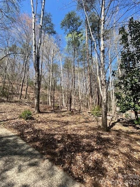 Lot 51 Fairway Drive - Photo 4