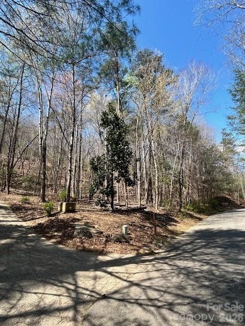 Lot 51 Fairway Drive - Photo 5