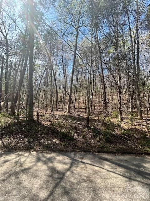 Lot 51 Fairway Drive - Photo 6