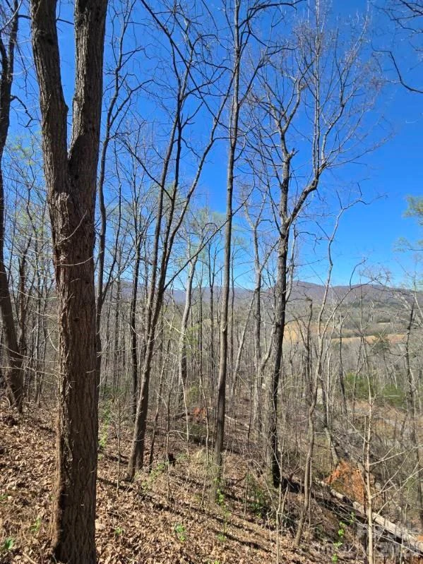 600 High Pines Loop - Photo 32