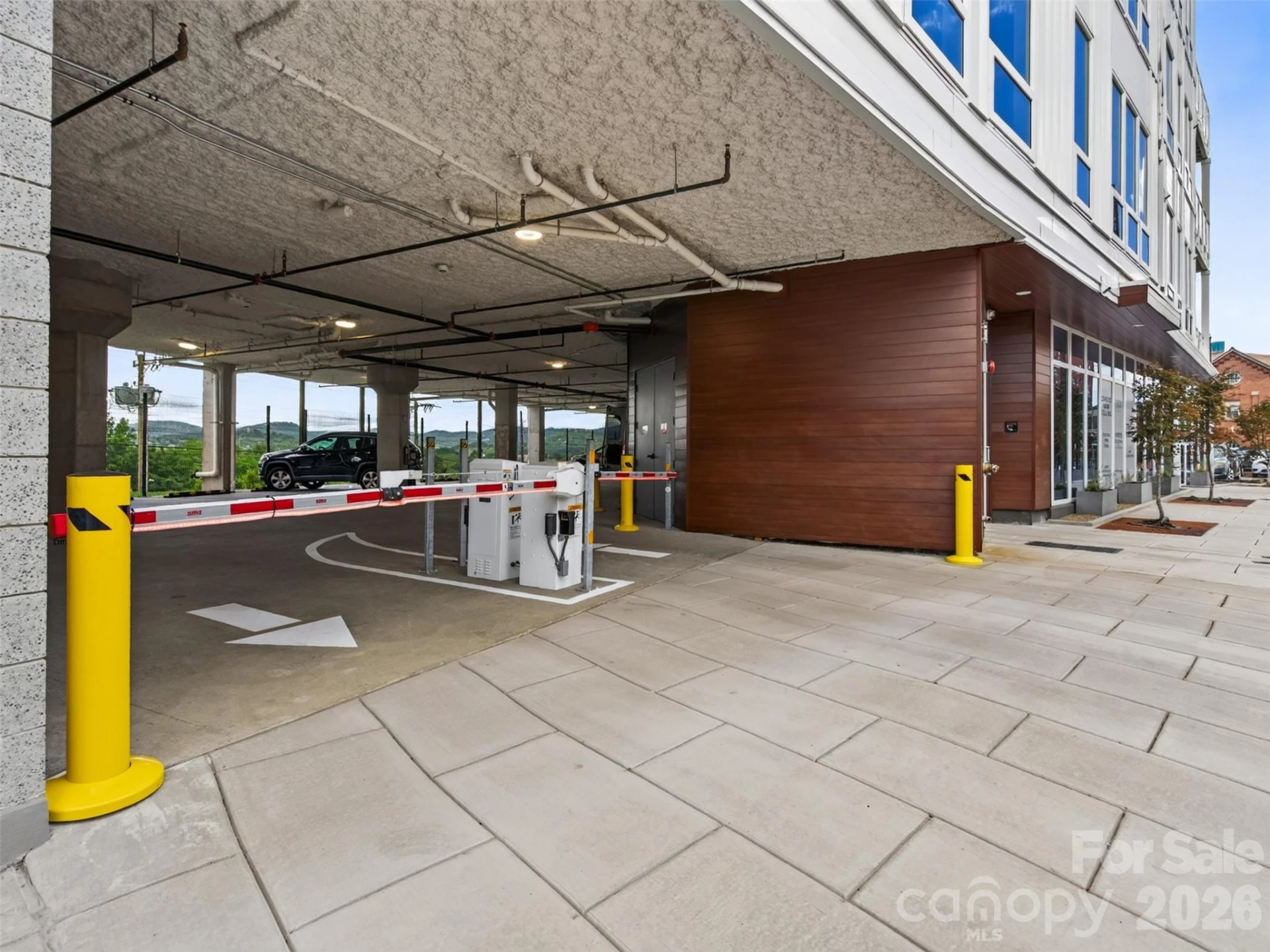 123 Haywood Street #203 - Photo 3