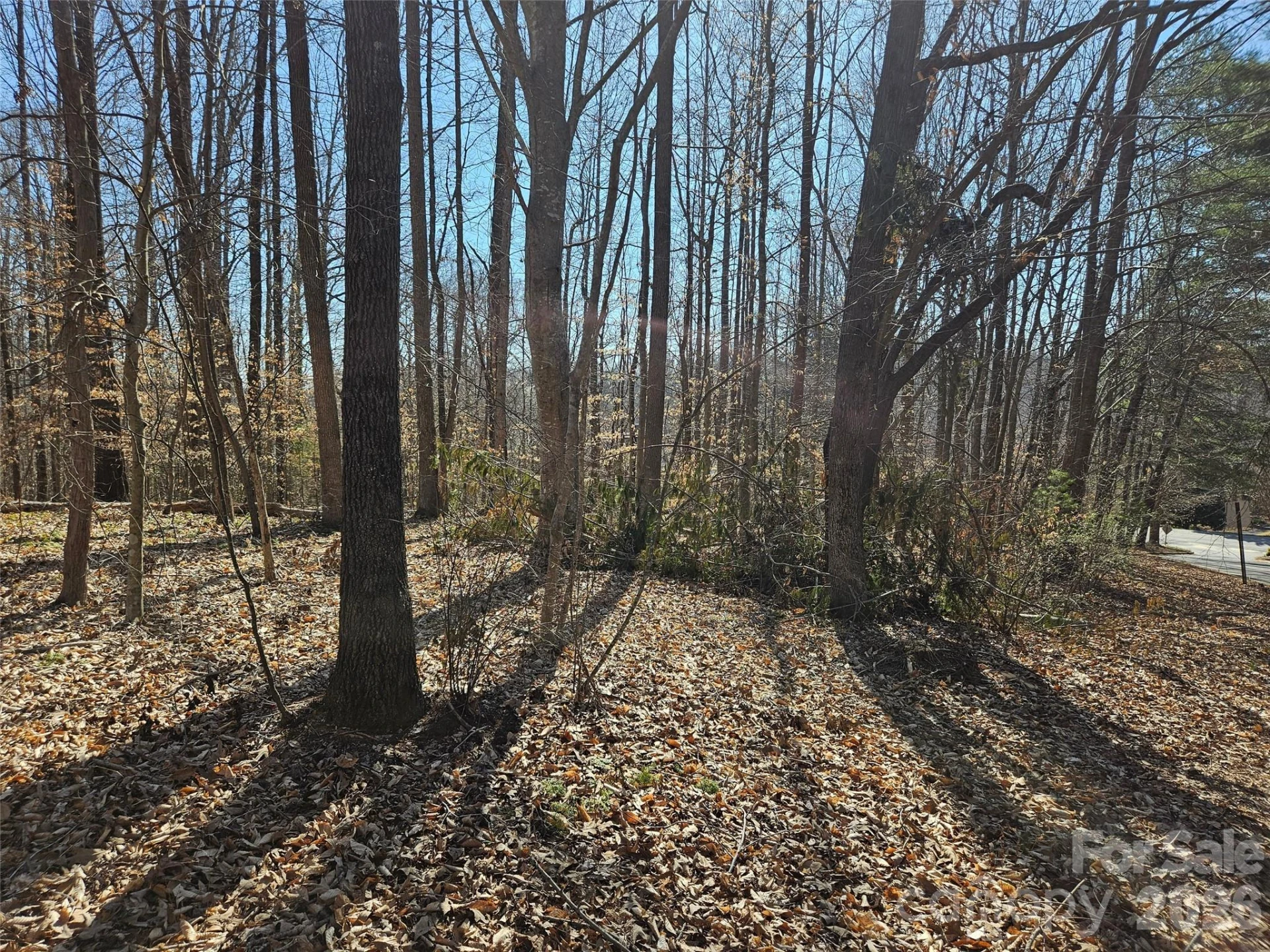 0 General Griffith Circle #37 - Photo 3